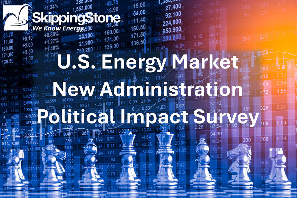 Energy Market Survey 2025
